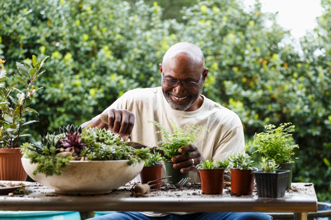 man tuiniert met planten in pot