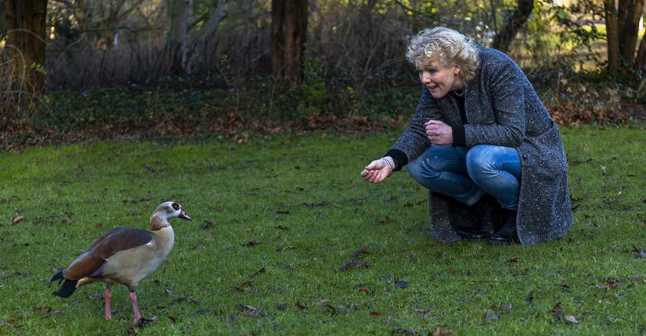 DE BEELDREDAKTIE / ANGELIEK DE JONGET.B.V. PFZW GOED BEZIG"HET VERHAAL"UTRECHT D.D. 10.01.2022LINDA DE ROOS, IC-VERPLEEGKUNDIGE IN HET UMC02. Het verhaal van...In ‘Het verhaal van...’ deelt een medewerker uit de sector zorg en welzijn zijn of haar persoonlijke verhaal over een fysiek, mentaal of financieel fit onderwerp. Linda de Roos werkt als ic- verpleegkundige in het UMC Utrecht en schreef onder andere het boek ‘Flinterdun, indrukwekkende ervaringen op de intensive care’. Met haar jarenlange ervaring probeert ze een licht in de duisternis te zijn voor mensen die zijn overgeleverd aan haar (intensieve) zorg.