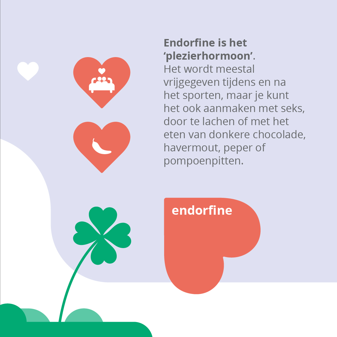 explainer geluk slide007