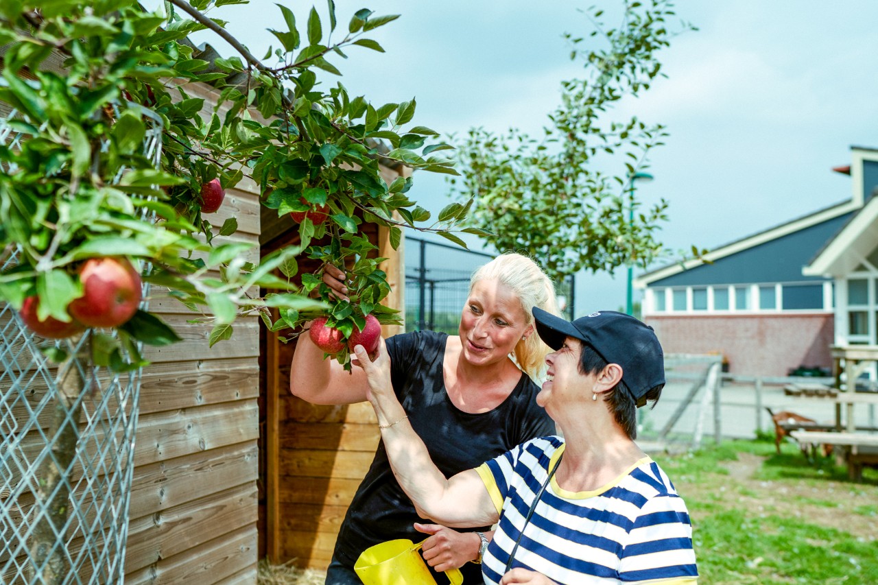 Dagopvang bij zorgboerderij van Bartimeus.