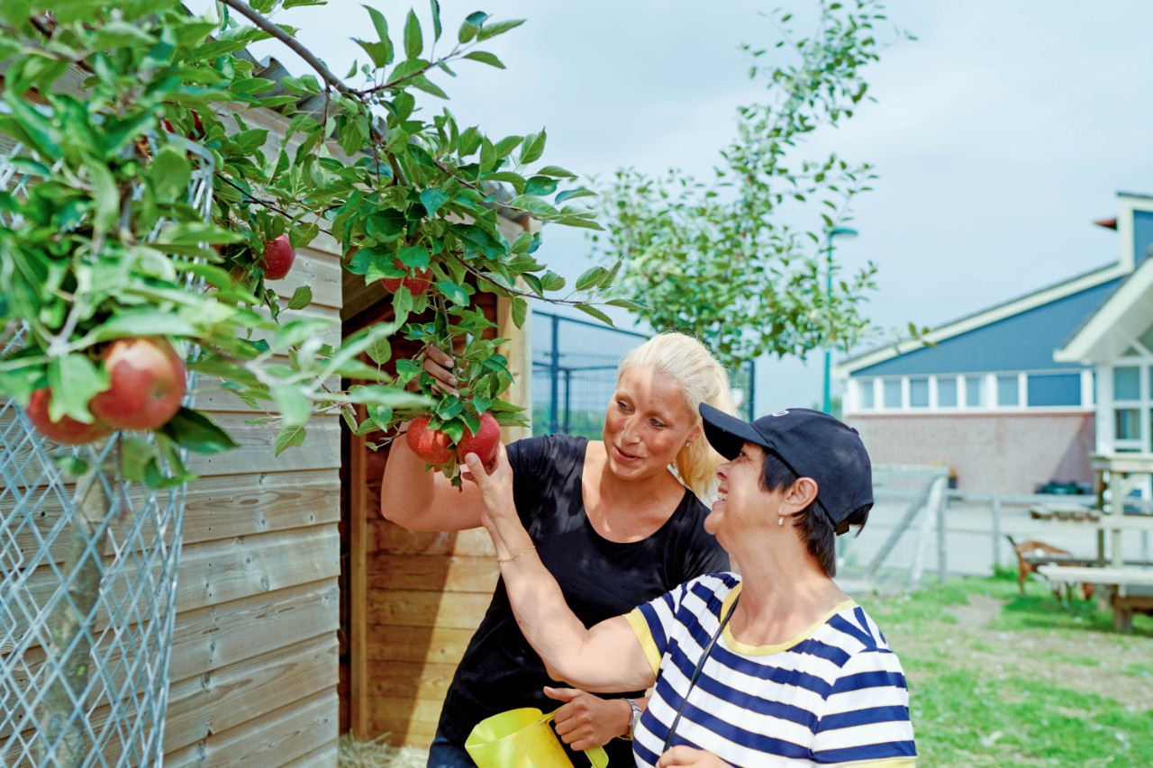 begeleider dagbesteding in tuin