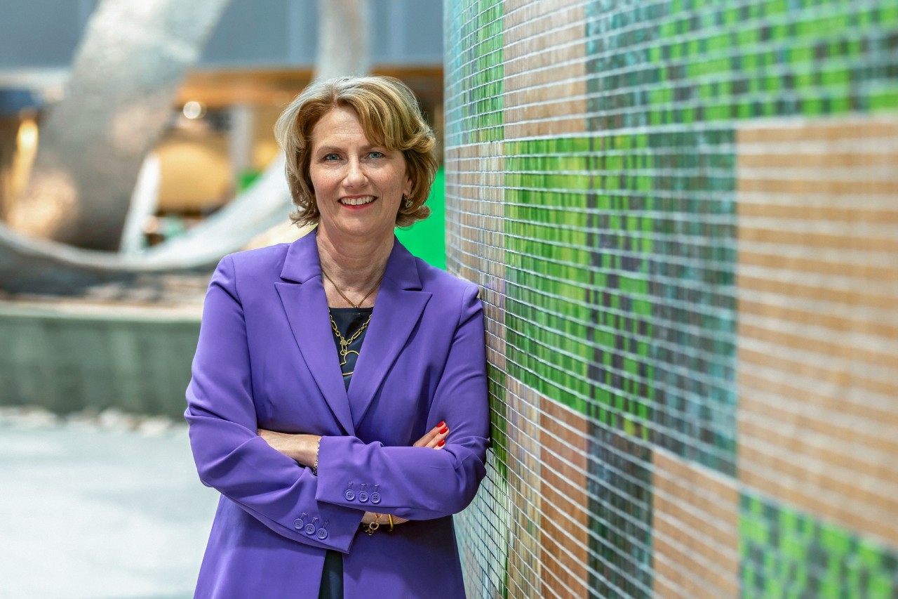 Leren van Vincent Alkemade